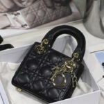 Christian Dior Micro Lady Dior Bag